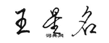 駱恆光王星名行書個性簽名怎么寫