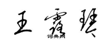 梁錦英王露琴草書個性簽名怎么寫