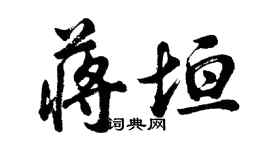 胡問遂蔣垣行書個性簽名怎么寫