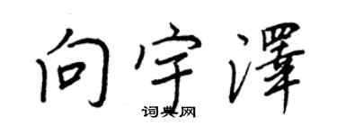 王正良向宇澤行書個性簽名怎么寫