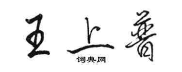 駱恆光王上普行書個性簽名怎么寫