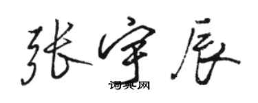 駱恆光張宇辰行書個性簽名怎么寫