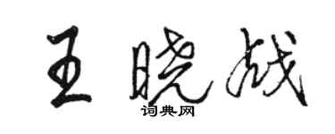 駱恆光王曉戰行書個性簽名怎么寫