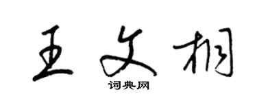 梁錦英王文桐草書個性簽名怎么寫