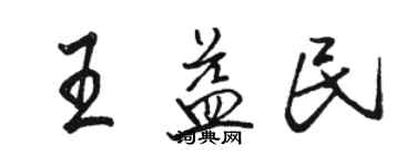 駱恆光王益民行書個性簽名怎么寫