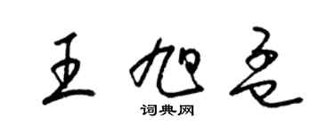 梁錦英王旭孟草書個性簽名怎么寫