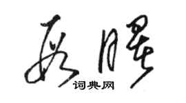 駱恆光段曙草書個性簽名怎么寫