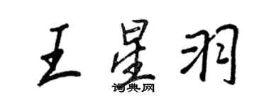 王正良王星羽行書個性簽名怎么寫