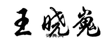 胡問遂王曉嵬行書個性簽名怎么寫