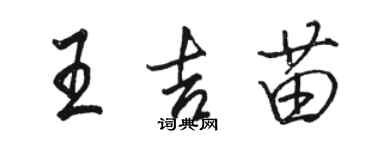 駱恆光王吉苗行書個性簽名怎么寫