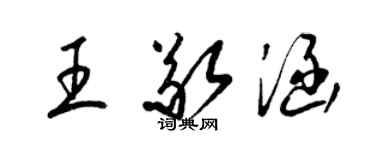 梁錦英王敬涵草書個性簽名怎么寫