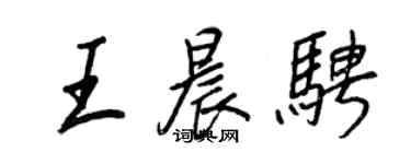 王正良王晨騁行書個性簽名怎么寫