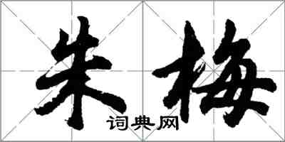 胡問遂朱梅行書怎么寫