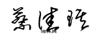 朱錫榮蔡佳琪草書個性簽名怎么寫