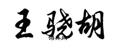 胡問遂王驍胡行書個性簽名怎么寫