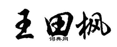 胡問遂王田楓行書個性簽名怎么寫