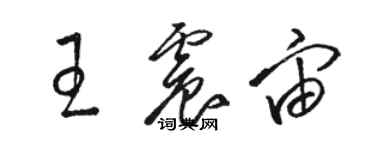 駱恆光王震宙草書個性簽名怎么寫