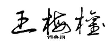 曾慶福王梅權草書個性簽名怎么寫