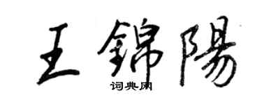 王正良王錦陽行書個性簽名怎么寫