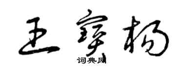 曾慶福王寶楊草書個性簽名怎么寫