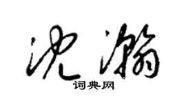 梁錦英沈瀚草書個性簽名怎么寫