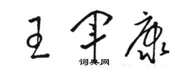 駱恆光王軍康草書個性簽名怎么寫