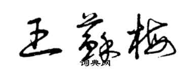 曾慶福王蘇梅草書個性簽名怎么寫