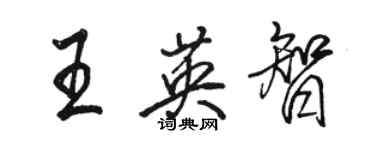 駱恆光王英智行書個性簽名怎么寫