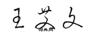 駱恆光王艾文草書個性簽名怎么寫