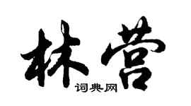 胡問遂林營行書個性簽名怎么寫