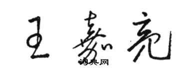 駱恆光王嘉亮草書個性簽名怎么寫