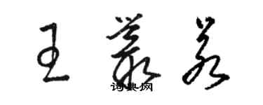 駱恆光王叢若草書個性簽名怎么寫