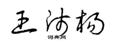 曾慶福王師楊草書個性簽名怎么寫