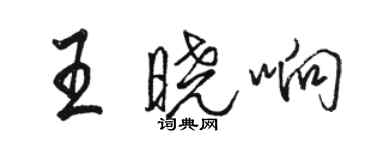 駱恆光王曉響行書個性簽名怎么寫