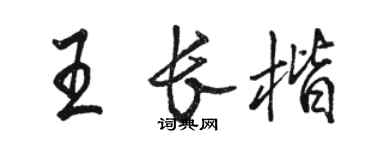 駱恆光王長楷行書個性簽名怎么寫
