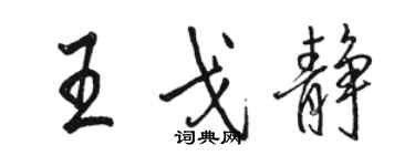 駱恆光王戈靜行書個性簽名怎么寫