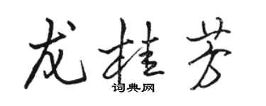 駱恆光龍桂芳行書個性簽名怎么寫