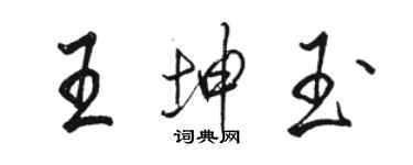 駱恆光王坤玉行書個性簽名怎么寫