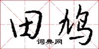田鳩怎么寫好看