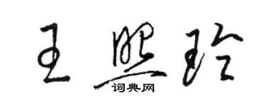 駱恆光王照玲草書個性簽名怎么寫