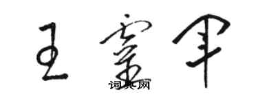 駱恆光王靈軍草書個性簽名怎么寫