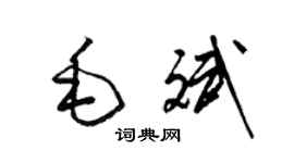 梁錦英毛斌草書個性簽名怎么寫