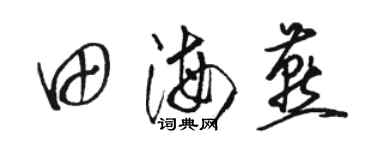 駱恆光田海燕草書個性簽名怎么寫