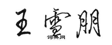 駱恆光王雪朋行書個性簽名怎么寫