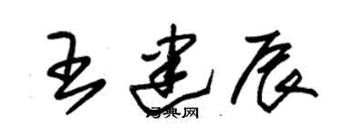 朱錫榮王建辰草書個性簽名怎么寫