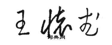 駱恆光王懷武草書個性簽名怎么寫