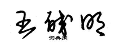 朱錫榮王皎明草書個性簽名怎么寫