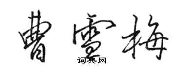 駱恆光曹雪梅行書個性簽名怎么寫