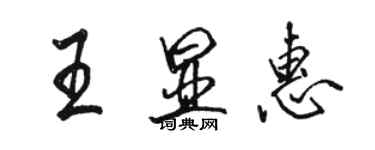 駱恆光王顯惠行書個性簽名怎么寫