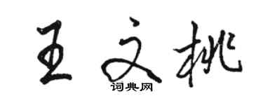 駱恆光王文桃行書個性簽名怎么寫